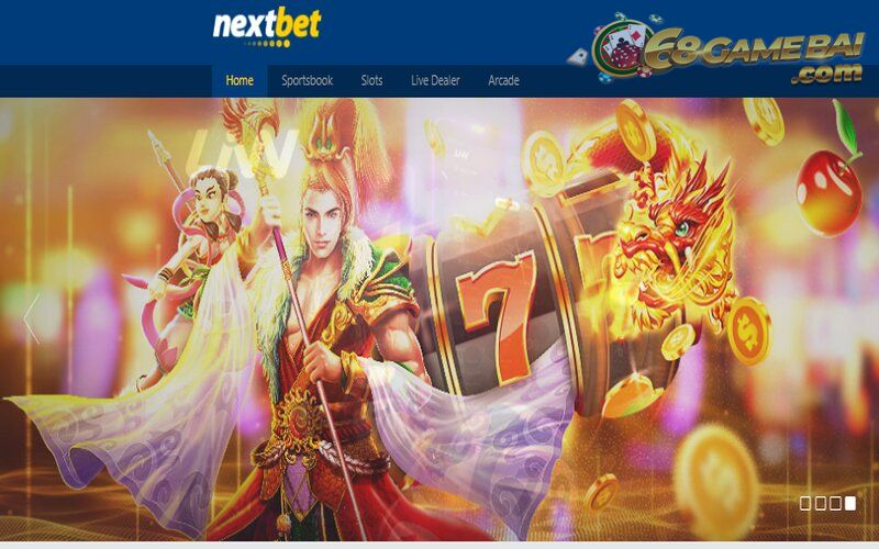 Nextbet – Sân chơi chơi cá cược cuốn hút