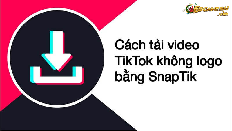 cach-tai-video-TikTok-khong-logo-bang-snaptik